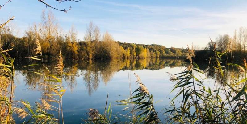 Lac-de-Saint-Cyr-près-de-Poitiers