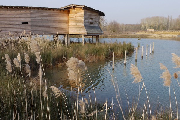 Observatoire-LPO-Tourisme-Parc-Camping-du-Lac-de-Saint-Cyr-86130