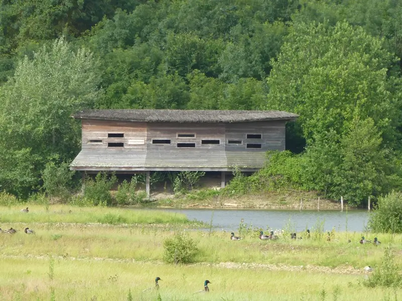Observatoire-oiseaux-Reserve-Naturelle-Regionale-de-Saint-Cyr-©Johan-Tillet-LPO Observatoire-oiseaux-Reserve-Naturelle-Regionale-de-Saint-Cyr-©Johan-Tillet-LPO